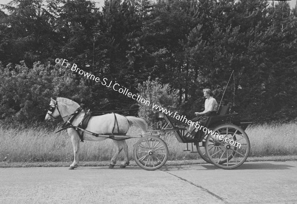 GLASLOUGH HOUSE  MISS BARBARA VINCENT JONES IN BUGGY